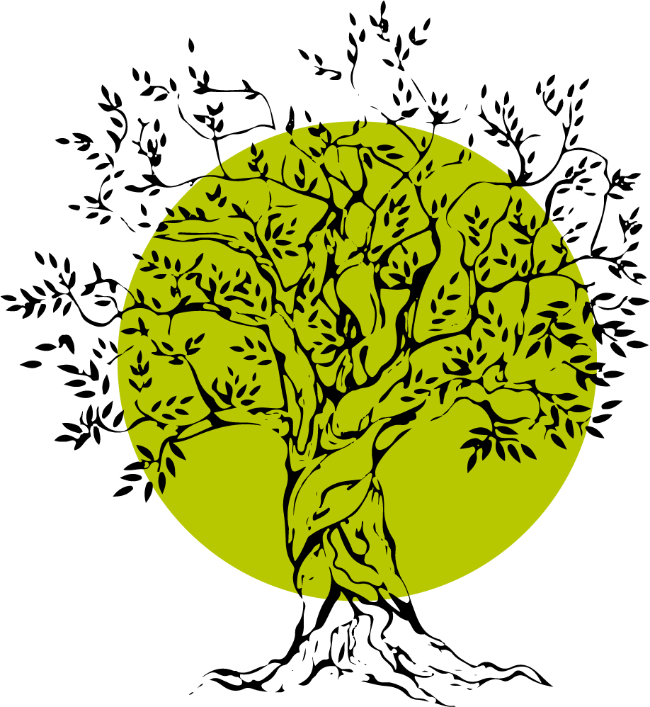 Dibuix d'una olivera que produeix Oli d'Oliva Verge Extra Ecològic