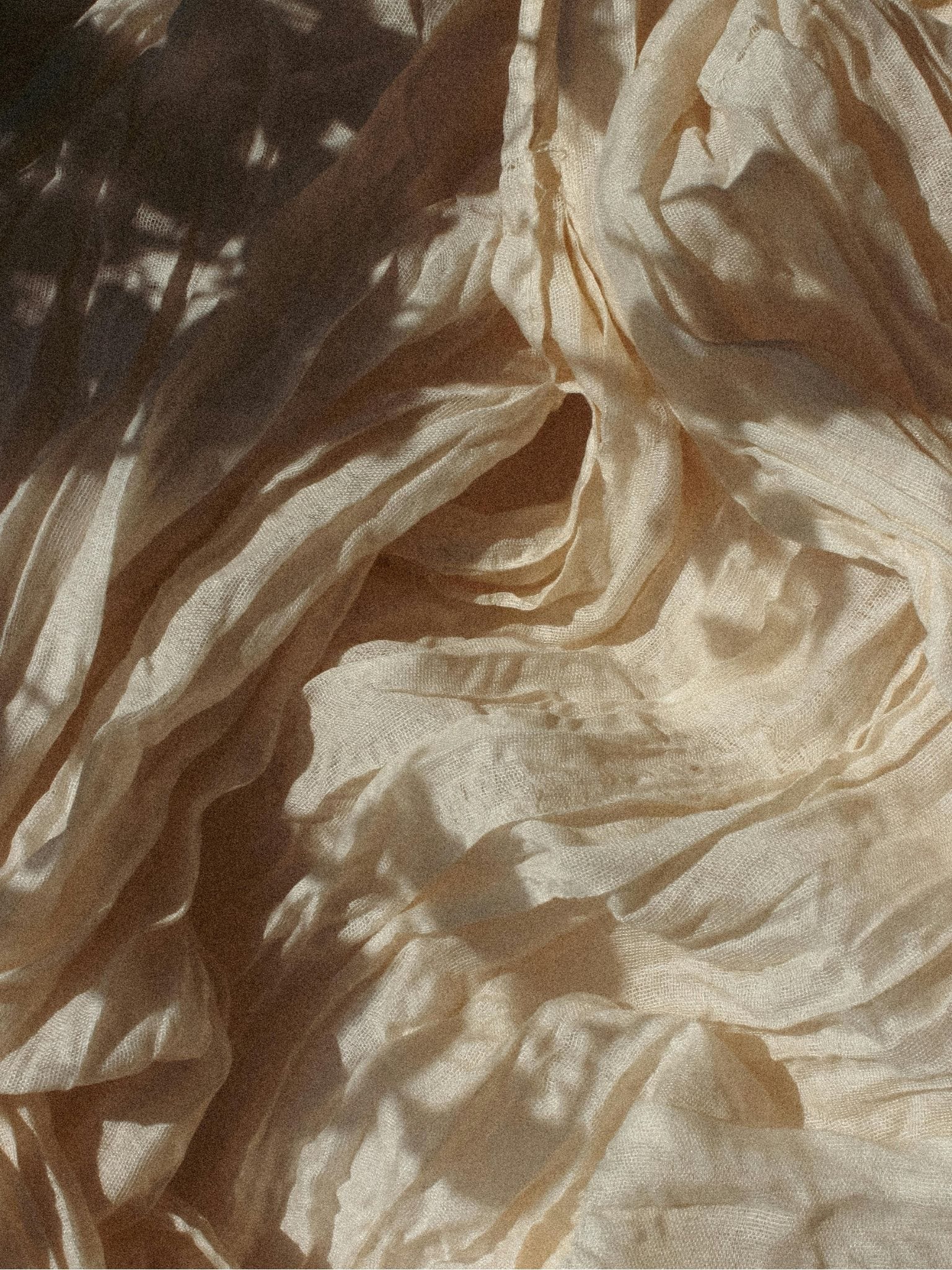 L’OLI SUÏM ECOLÒGIC_la salut Imagen de textura sedosa